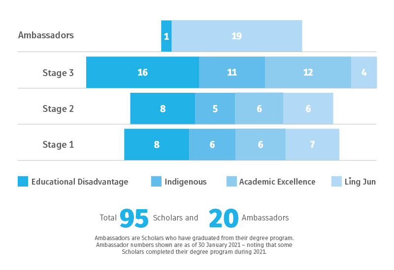 Breakdown of 95 scholars in the program by category