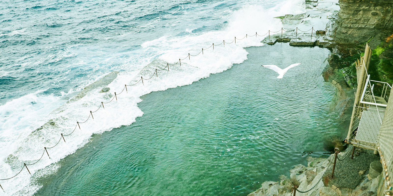 Newcastle Academy of Health Professional Development