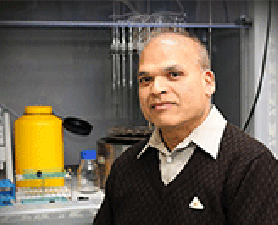 Professor Manohar Garg. Saturated fats to be served in radical nutrition trial