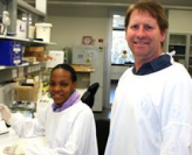 ‘transpoosion’ for a healthy gut. ‘transpoosion’ for a healthy gut