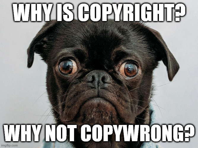 Pug meme Meme image with sad-looking pug (dog) as background. Text overlay states: "Why is copyright? Why not copywrong?"