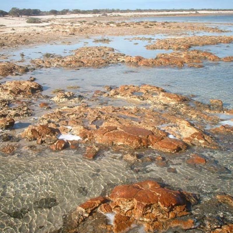 A rocky bay area 