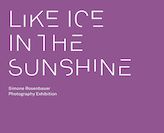 . Fine Art Academic Shines in NYC Exhibit.