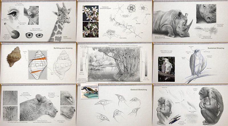 Student Work