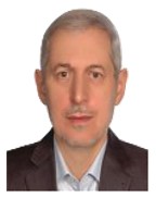 Prof. Mir F. Mousavi