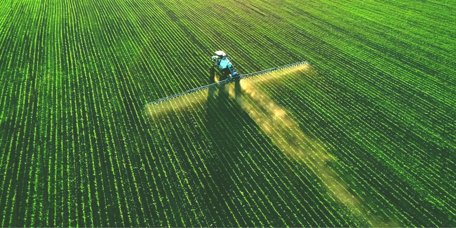 Industrial machinery fertilising green crops