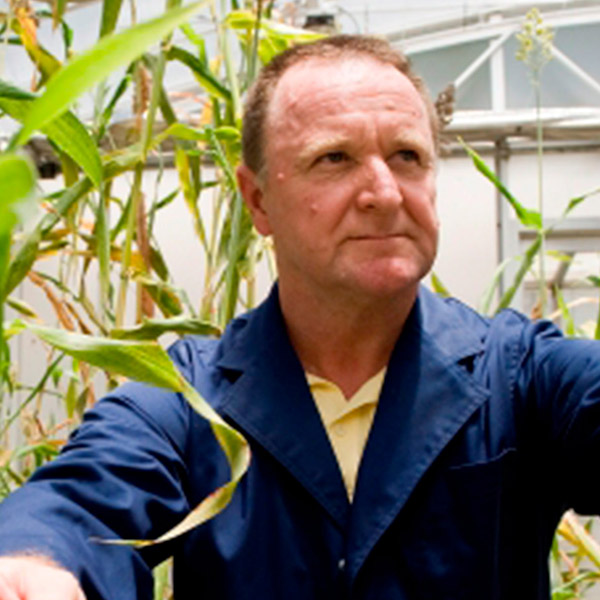 Professor Christopher Grof