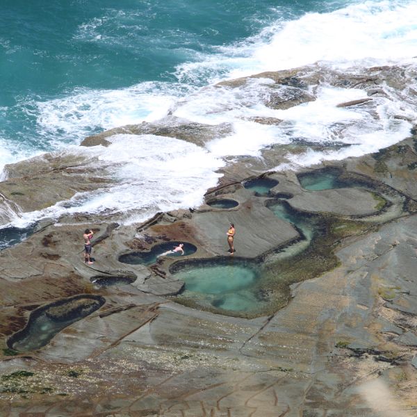 Figure 8 rockpool. Rock pool risk rating flows from Newcastle research