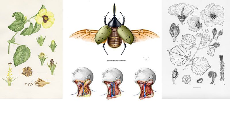 Visual Communication Design