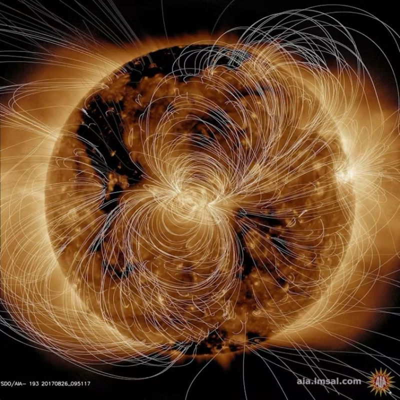 Image of computer generated models of the Sun's magnetic fields
