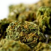 ABC News: Who can get medical marijuana