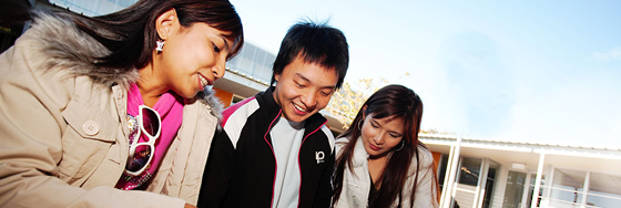 Questions about Homestay