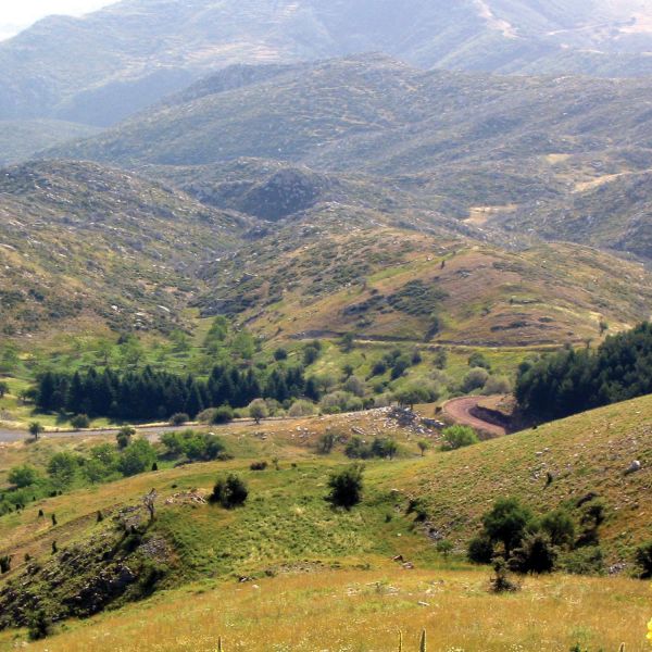 . Historians Take Flight with New Travel Scholarship