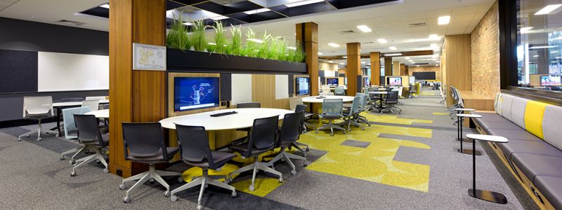 Auchmuty Library