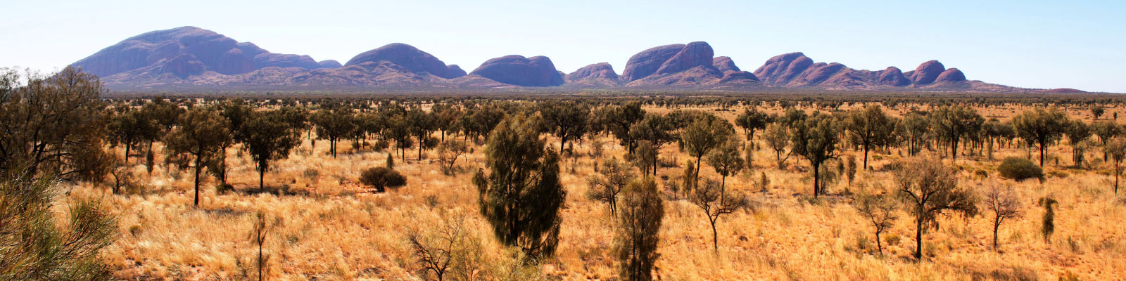 Safe havens protect Australian mammals from invasive predators. Why aren’t they working for other animal groups?