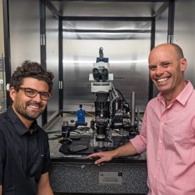 . 2017 NHMRC Project Grants funding success