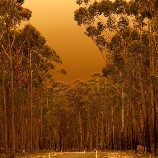 A red sky an thick smoke across a road in Mallacoota, Victoria