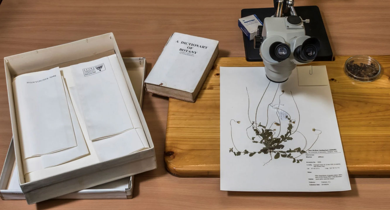 Specimens and equipment sit on a table