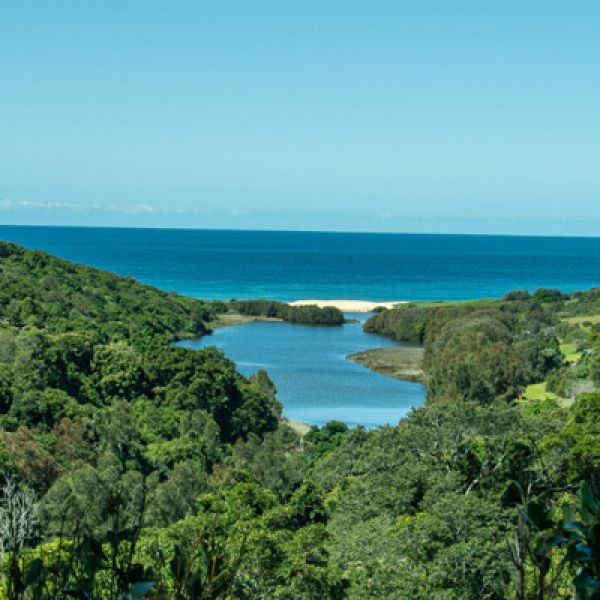 Numates: Glenrock Bush Walk Experience