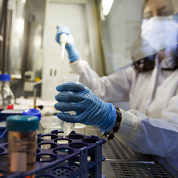 . Funding awarded for innovative cancer research