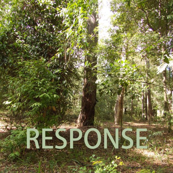 . RESPONSE exhibition @ Hunter Region Botanic Gardens