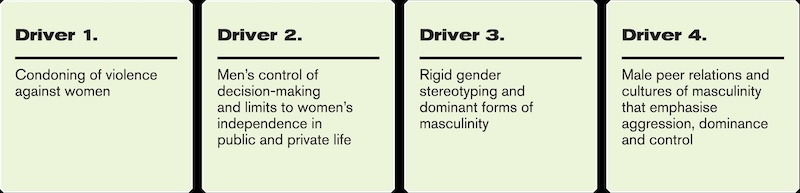 A graphic with text of the 4 drivers of violence against women