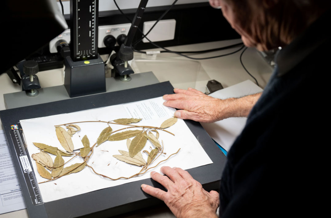 Volunteer John Sharples moves specimens on equipment