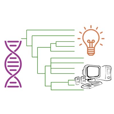 Global analysis of specialised metabolism in Cyanobacteria