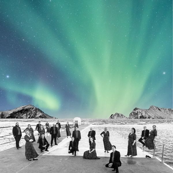 A group of formally dressed people stand spaced along a path beside calm water, with snowy mountains in the background and vivid green aurora borealis illuminating the night sky.