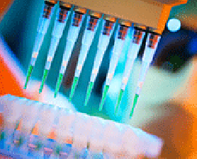 Cancer Boost. Major cancer boost