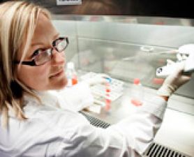 Cancer Council NSW research grant success. $1 million in Cancer Council NSW project grants