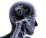 CTNMH thumb Centre for Translational Neuroscience and Mental Health