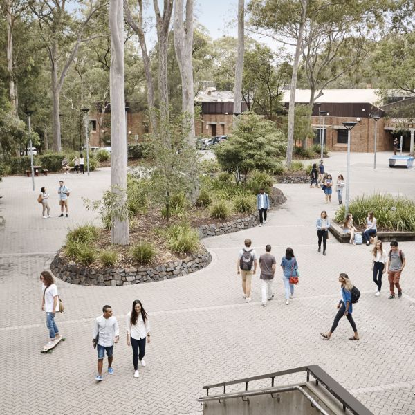 An aerial shot of Callaghan campus. An update on the University’s response to the National Student Safety Survey 