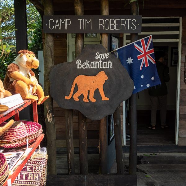 Camp -Tim2