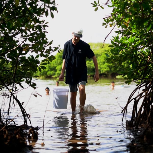 student carrying a bucket wading through the waterway of mangroves
